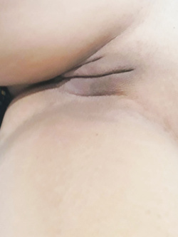 Vaca_Berbel