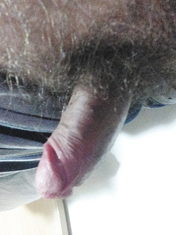Arriva lui