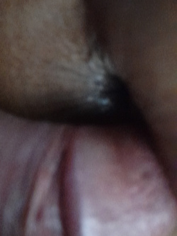 X i miei ammiratori