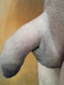 Mostro il mio pene in diverse situazioni.