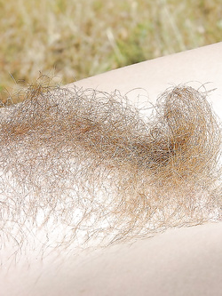 Fiche pelose primi piani