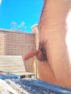 Porcellino esibizionista