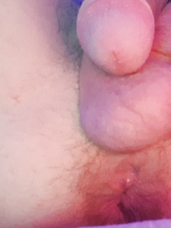 Pisellino