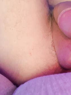Pisellino