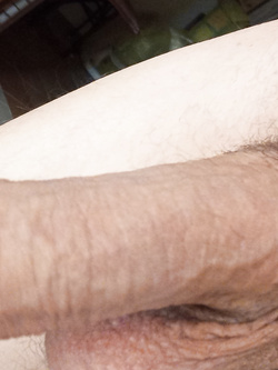 the ass Parte 6