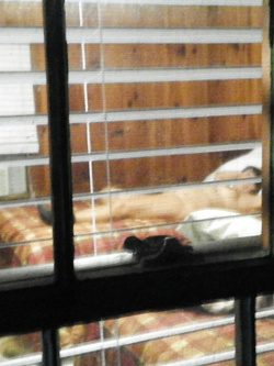 Angela Left Exposed At A Hotel