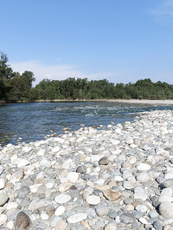 Spiaggia al fiume