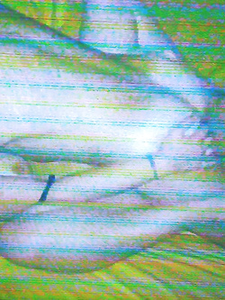 Mai goduto così tanto