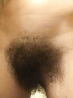 Pelo nuovo