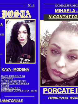 mikaela - vacca moldava di cervia