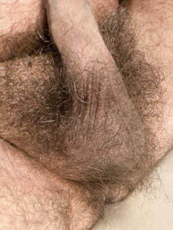 BISEX