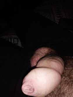 Il mio c**o