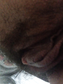 Gatta nera