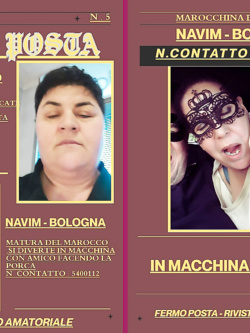 navim - vacca esibizionista di bo