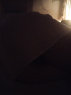 C'è sempre un curioso in casa