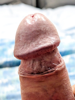 Cazzone gigante venoso