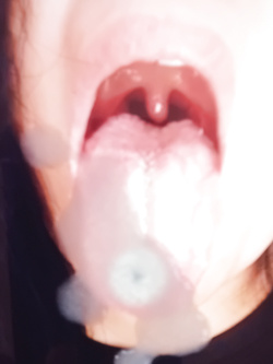 TRIBUTI A TROIE