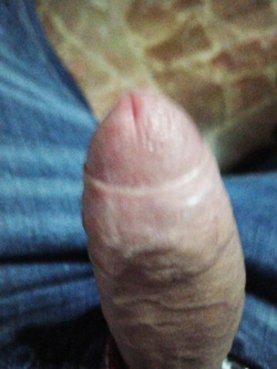 23 cm