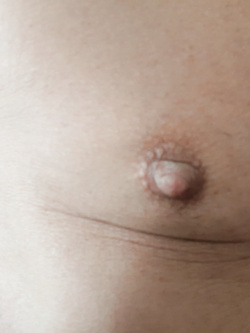 I capezzoli di Pamela trav