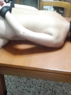 Cagna inculata