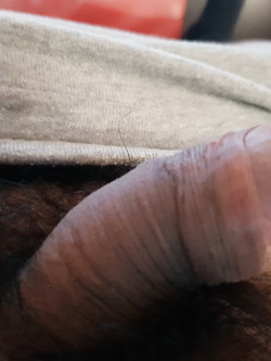 Vuole una cagna che lo raddrizza