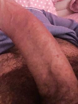 Guarda