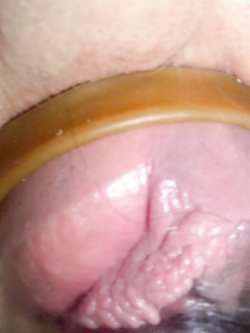 le prime pompate di figa parecchi anni fa