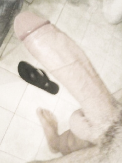 19,7cm
