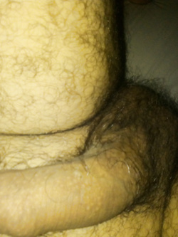 cazzo bagnato