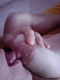 Vogliosetta