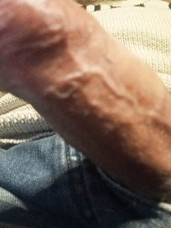 23 cm Parte 2