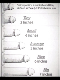 Scheda di candidatura