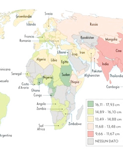 Scheda di candidatura