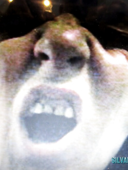 SILVANA  BADANTE ESIBIZIONISTA