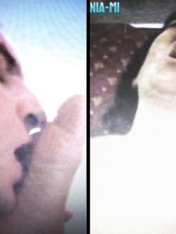 SILVANA  BADANTE ESIBIZIONISTA