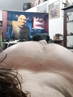 Il mio culone