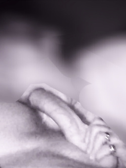 il mio cazzo
