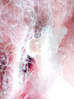 TRIBUTI X MOGLIE MERLINO60