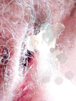 TRIBUTI X MOGLIE MERLINO60