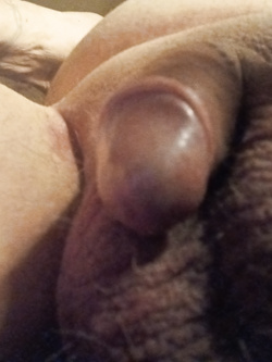 23cm da duro