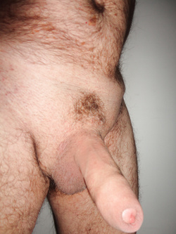 PROVINO PER NAKED ATTRACTION