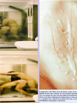 MINNESOTA - ESIBIZIONISTA ROMA