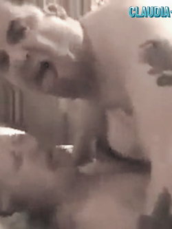 le rumene porche e esibizioniste