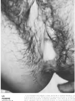 IRANIA - ESIBIZIONISTA DI PISTOIA