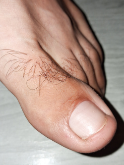 Bellissimi piedi