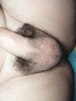 Il mio cazzo peloso sotto le coperte
