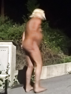 Oca schiava prostituta - 3285932523 - Batto In strada -