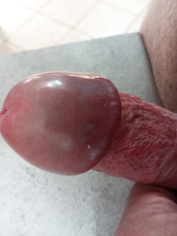 Cazzo Duro!!!!!!!!!!!!!!!!!!!!