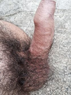 Cazzo duro pelosoo............
