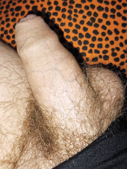 Il mio cazzo in erezione per voi...